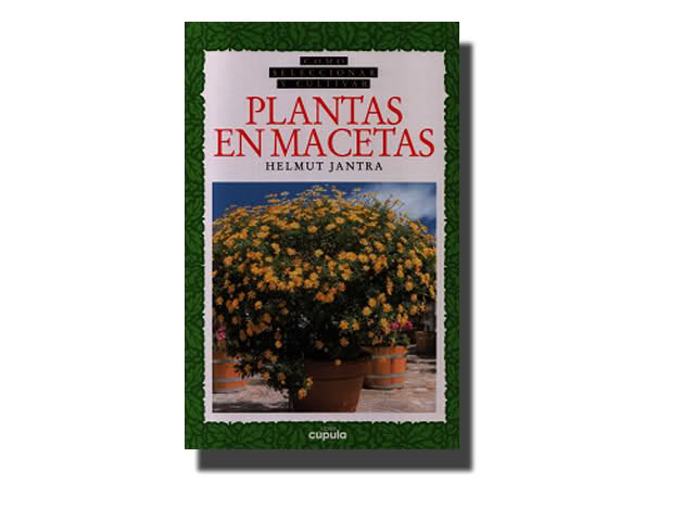 plantas en macetas